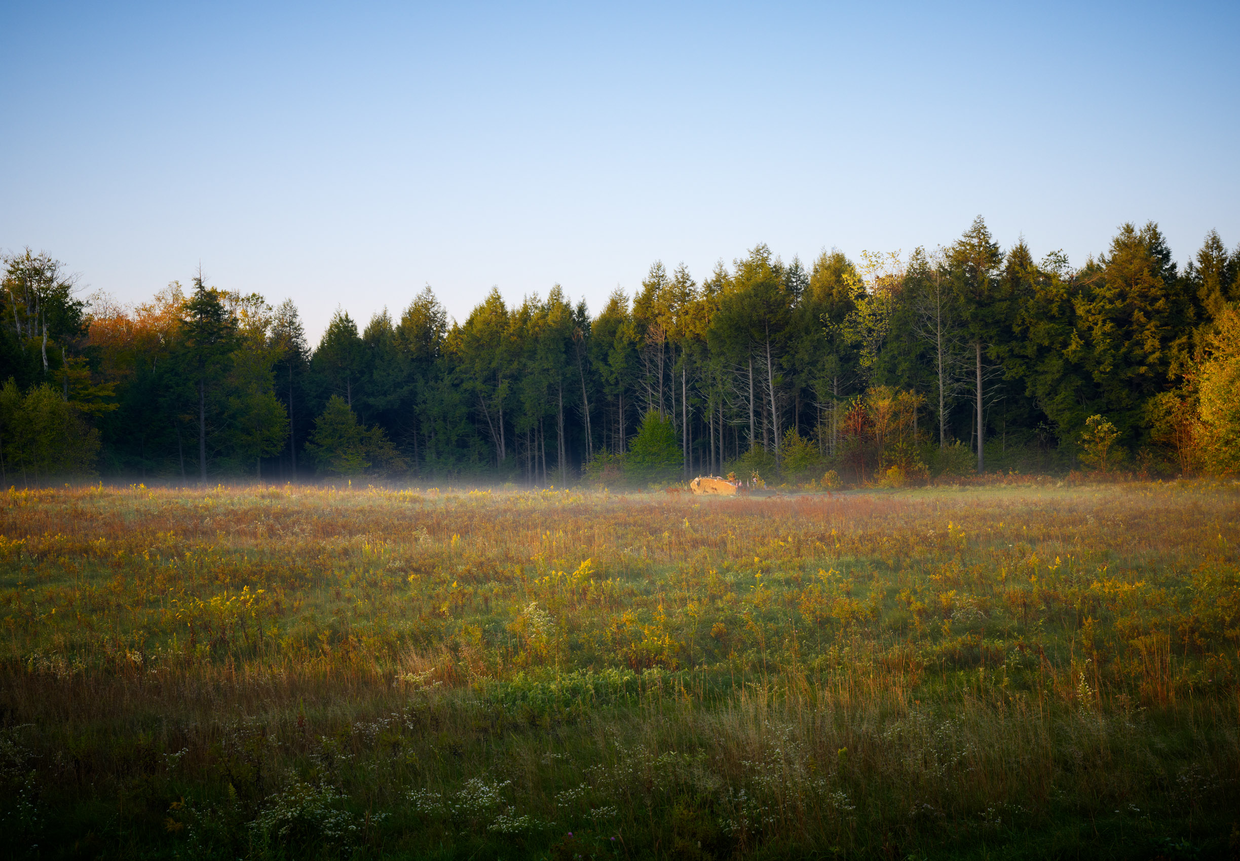 Landscape-102