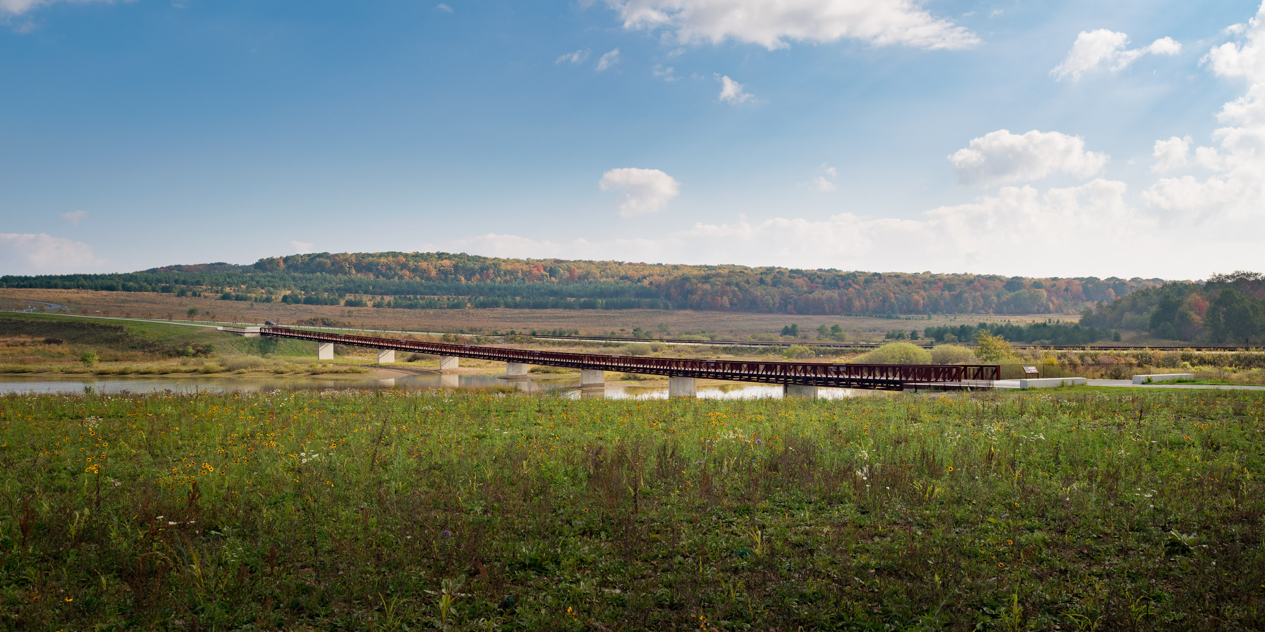 Landscape-104